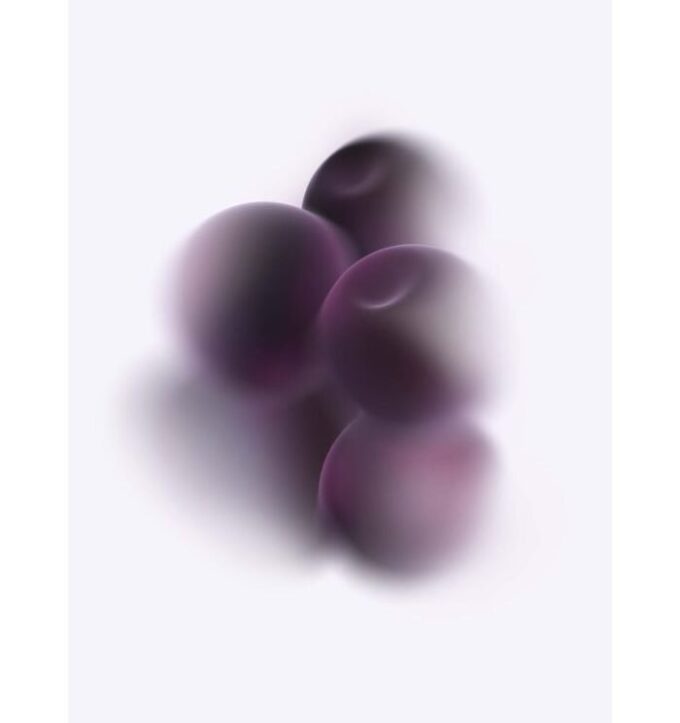 Cassis Pods Cassis Pods