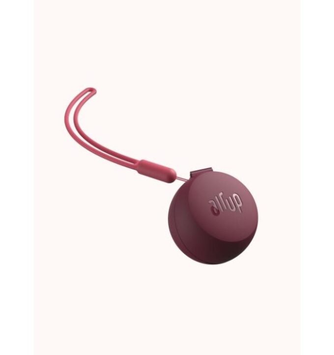 Pod Case Twogo Accessories Burgundy Plum